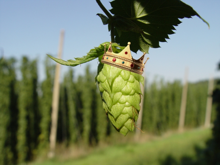 hop cone with crown
