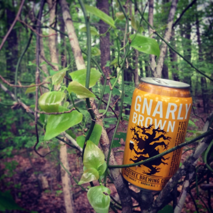 madtree-madtree brewing-gnarly brown-forest-tree-beer-beertography-1
